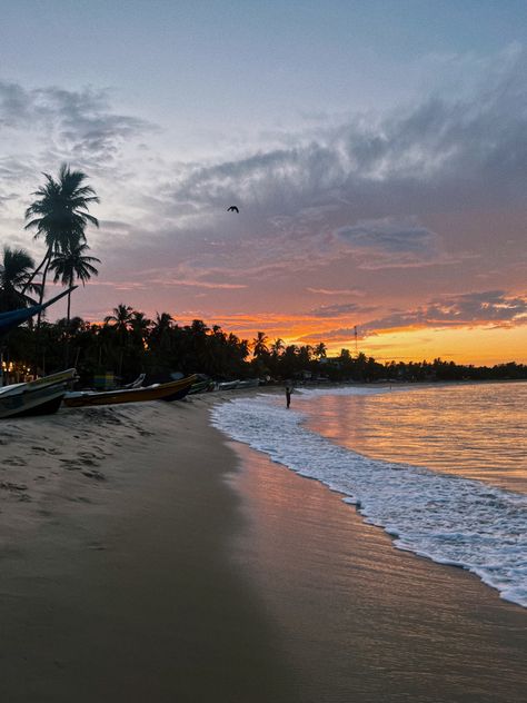 Arugam Bay Fischer sunset Sri Lanka sun bird nature surf beach sea seafishing Sri Lanka Holidays, Arugam Bay, Gap Year Travel, Travel India, Sunset Sea, Hawaii Life, Summer Adventures, India Travel, Pretty Places