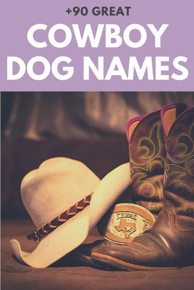 Our favorite cowboy-inspired dog names for little rascals and varmints! Cool Dog Names Boys, Male Dog Names Unique, Southern Dog Names, Puppy Names Unique, Country Dog Names, Boy Puppy Names, Puppies Names Female, Dogs Names List, Dog Name Ideas