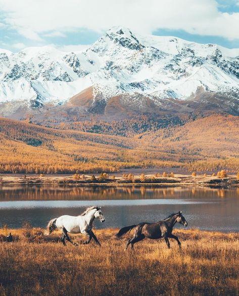 Russia Landscape, Russian Landscape, Altai Mountains, Mountains Aesthetic, Sky Landscape, Aesthetic Picture, Epic Journey, Life Is An Adventure, Scenic Landscape