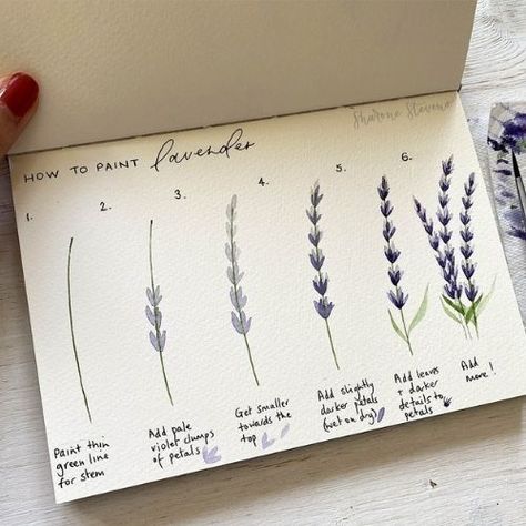 Learn Watercolor Painting, Cool Doodles, Learn Watercolor, Diy Watercolor Painting, Watercolor Flower Art, Bullet Journal Art, 수채화 그림, Diy Watercolor, Watercolor Art Lessons