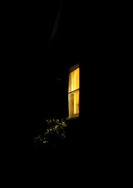 Window at night | This is the outside of my kitchen window a… | Flickr Window At Night, Night Window, Night Time Photography, Window Reveal, Window Photography, Dark Windows, Kids Night, Window Light, Dark Photography