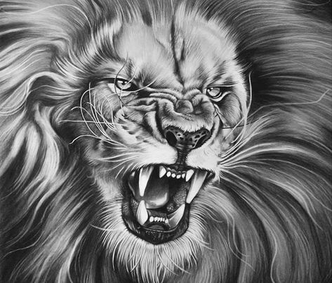 Draw A Lion, Jaguar Tattoo, Lion Roar, King Drawing, Tier Tattoo, Lion Sketch, Lion Tattoo Sleeves, Mens Lion Tattoo, Lion Head Tattoos