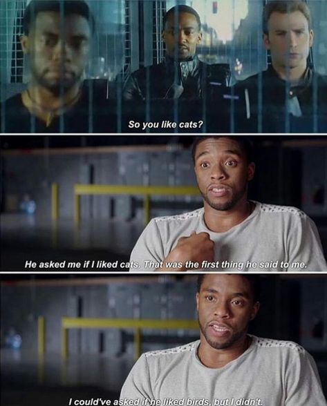 Sassy comeback between Black Panther and Falcon // "So you like cat?" - Falcon...Black Panther could of just said, "So you like birds?" from Captain America: Civil War Film Marvel, Funny Marvel Memes, Dc Memes, Batman And Robin, Dc Movies, Avengers Memes, Marvel Actors, Marvel Jokes, Avengers Funny