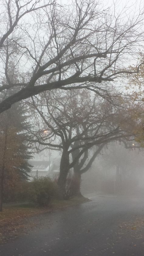 Foggy Street Aesthetic, Foggy Winter Aesthetic, Foggy Neighborhood, Foggy Aesthetic City, Foggy Morning Aesthetic, Calgary Aesthetic, Foggy Town, Foggy Rain, Foggy Street