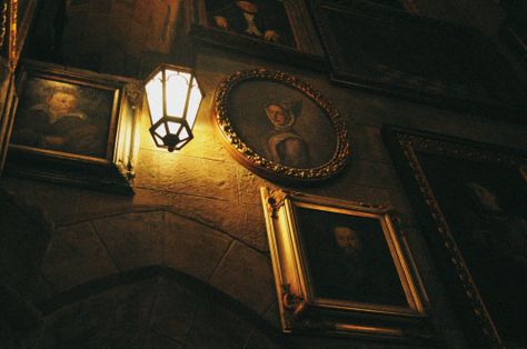 Dark interior Love All Trust Few, The Sorting Hat, Hufflepuff Aesthetic, Hufflepuff Pride, The Wizarding World Of Harry Potter, Tiger Eyes, Hogwarts Aesthetic, Harry Potter Houses, Sorting Hat