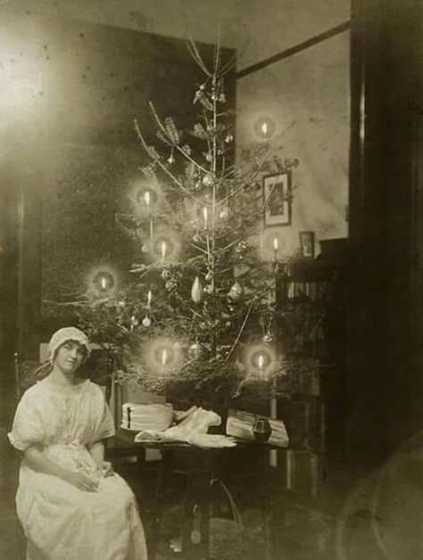 1800s Christmas tree Victorian Christmas Tree, Old Time Christmas, Vintage Christmas Photos, Ghost Of Christmas Past, Old Christmas, Old Fashioned Christmas, Antique Christmas, Christmas Past, Christmas Memory