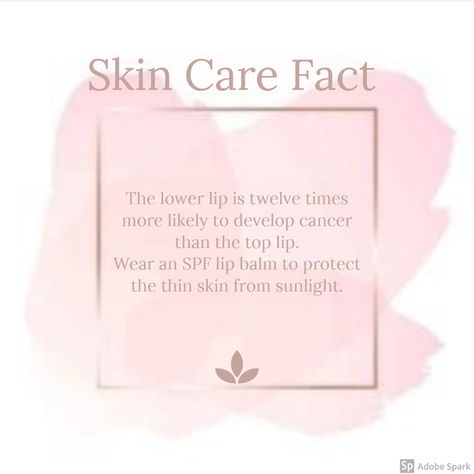 Esthetician Office, Skincare Graphics, Skin Knowledge, Solo Esthetician, Herbal Cosmetics, Glow Tips, Esthetician Quotes, Skincare Facts, Mary Kay Marketing