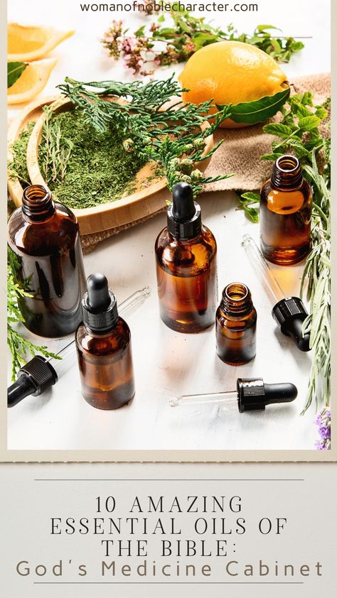 Skincare Problems, Essential Oils For Nausea, Air Freshener Recipes, Oils For Energy, Easy Skincare, Fennel Essential Oil, Homemade Air Freshener, Essential Oil Blends Recipes, Boost Confidence