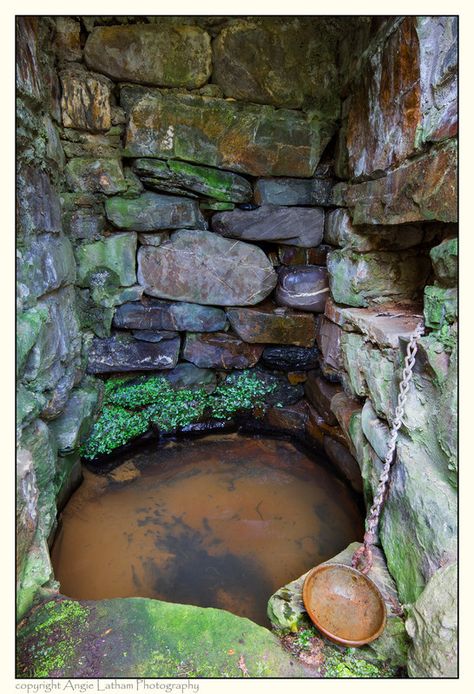 St.Neot's Well Cup 2 - Holy Wells and Sacred Springs Old Well, Sacred Well, Water Catchment, Sacred Water, Cold Spring, Standing Stone, Water Well, Holy Water, Well Decor