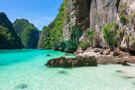 Desktop Photos, Thailand Art, Cambodia Travel, Phi Phi Island, Beach Landscape, Forest Landscape, Tropical Beach, Backgrounds Desktop, Landscape Photos