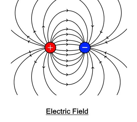 Magnetic Field Art, Electricity And Magnetism, Martial Arts Books, Electric Charge, Motion Poster, Electric Field, Electromagnetic Field, Bear Pictures, What Is The Difference Between