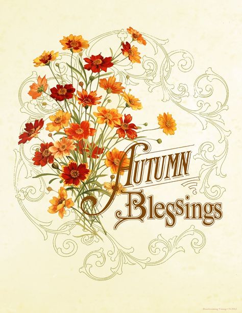 autumn blessings clip art Vintage Paper Crafts, Autumn Blessings, Free Fall Printables, Harvest Blessings, Fall Images, Autumn Fairy, Vintage Thanksgiving, Fall Printables, Happy Fall Y'all