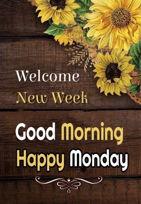 Beautiful Monday Quotes, Monday Morning Greetings, Monday Morning Inspiration, Happy Monday Images, Monday Greetings, Good Morning Monday Images, Happy Monday Quotes, Happy Monday Morning, Monday Images