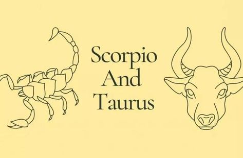 Their Love Relationship The love relationship between Scorpio and Taurus is always experienced intensely by both signs, both in moments of absolute harmony and in those of dispute. Both signs consequently reveal particular compatibility. If both signs end up getting together in a relationship, then their lives will improve a lot better. Allowing each other to explore, the couple will achieve more in many fields of life. Are Taurus and Scorpio a Good Match? U... Taurus Best Love Match, Scorpios In Love, Taurus Soulmate Zodiac Signs, Taurus And Scorpio Sexuality, Taurus And Scorpio Tattoo Together, Taurus Compatibility Relationships, Taurus Woman And Scorpio Man, Scorpio Taurus Relationships, Taurus Woman Scorpio Man