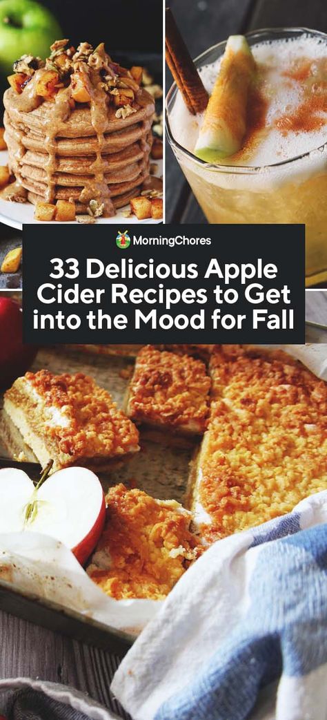 33 Delicious Apple Cider Recipes to Get into the Mood for Fall Recipe With Apple Cider Vinegar, Apple Cider Uses Food, Recipes To Use Up Apple Cider, Apple Cider Ideas, Ways To Use Apple Cider, Apple Cider Food Recipes, Apple Cider Recipes Food, Recipes Using Apple Juice, Recipes Using Apple Cider