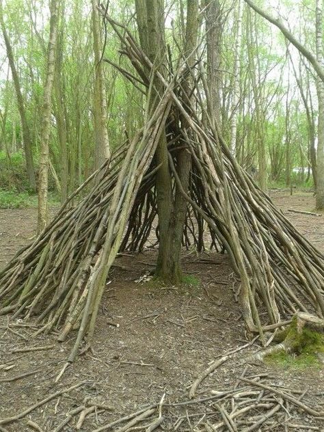 Teepee Out Of Sticks, Fort Ideas Outdoor Diy Easy, Wood Forts In The Woods, Den Building Outdoor, How To Build A Teepee Outdoors, Fort In The Woods Diy, Diy Shelter In The Woods, Outside Fort Ideas Woods, How To Build A Shelter In The Woods