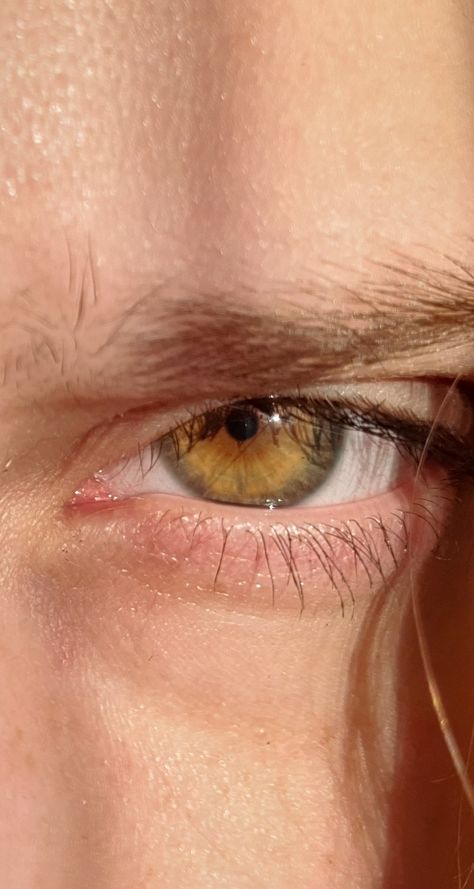 Amber/hazel eye color Hazel Eye Color, Amber Eyes Color, Central Heterochromia, Hazel Green Eyes, Amber Eyes, Aesthetic Eyes, Hazel Eyes, Throne Of Glass, Pretty Eyes