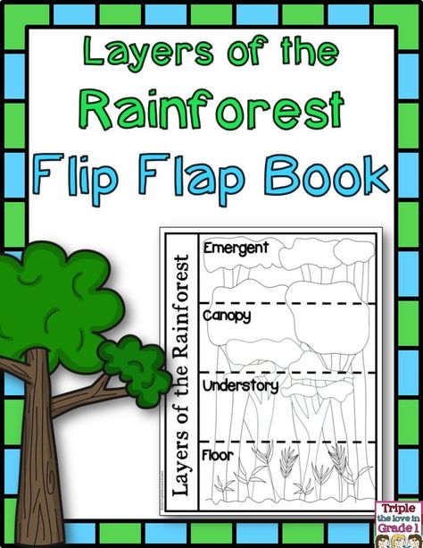 Layers Of The Rainforest, Rainforest Preschool, Rainforest Classroom, Rainforest Crafts, Rainforest Project, Rainforest Activities, Two Animals, Rainforest Habitat, Rainforest Theme