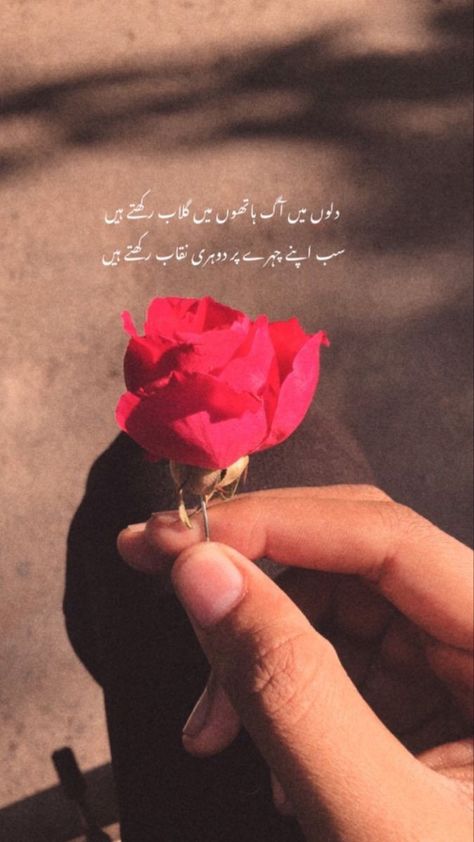 Poetry On Flowers In Urdu, Urdu Captions, Flower Poetry, Rumi Quotes Life, Intense Quotes, Rose Quotes, Poetry Pic, Poetry Photos, Poetry Ideas