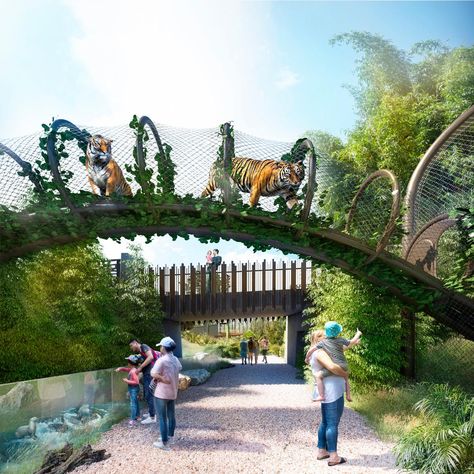 Zoo Habitats Design, Zoo Exhibit, Tiger Habitat, Zoo Games, Zoo Inspiration, Zoo Design, Zoo Project, America Theme, Zoo Architecture