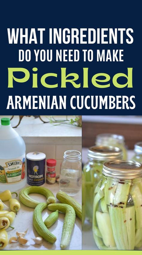 Armenian Cucumber Pickles, Pickled Armenian Cucumbers, Armenian Cucumbers Recipes, Armenian Cucumber, Armenian Cucumber Salad, Armenian Cucumber Recipes, Gluten Free Veggies, Pickling Cucumbers Recipe, Hot Pickles