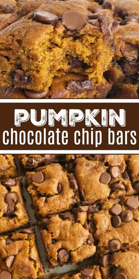 Pumpkin Chocolate Chip Bars, Dessert Pumpkin, Dessert Halloween, Dessert Oreo, Coconut Dessert, Desserts Keto, Recipe Pumpkin, Chocolate Chip Bars, Pumpkin Recipe