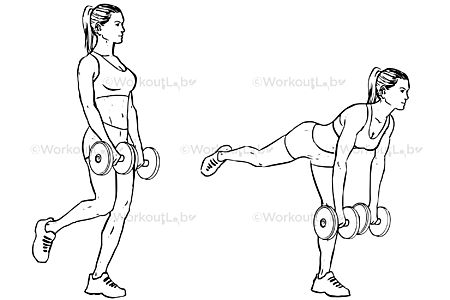 10 Best Exercises To Strengthen Your Gluteus Medius - SET FOR SET Sledgehammer Workout, Dumbbell Deadlift, Medius Workout, Gluteus Medius Exercises, Hip Abduction, Barbell Hip Thrust, Glute Medius, Leg Routine, Gluteal Muscles