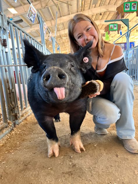 Cute Stock Show Outfits, Pig Showing Aesthetic, Cow Show Hairstyles, Show Pig Outfits, Pigs Aesthetics, Show Hogs, Show Pig Names, Stock Show Outfits Winter, Livestock Senior Pictures Pigs