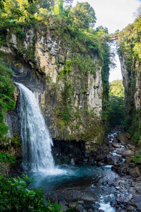 Mexico Waterfalls, Latin America Travel, Beautiful Sites, Mexico Travel, Central America, Magical Places, America Travel, Pretty Pictures, Cool Places To Visit