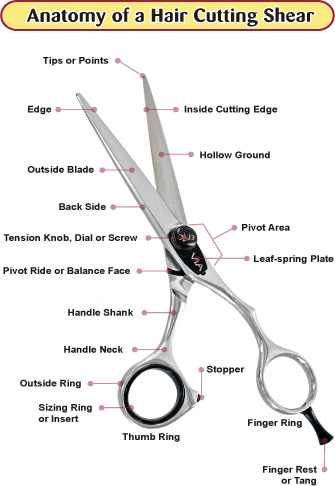 Dog Grooming Diy, Dog Grooming Styles, Dog Grooming Scissors, Dog Grooming Salons, Dogs Grooming, Dog Clippers, Dog Grooming Tips, Grooming Style, Hair Shears