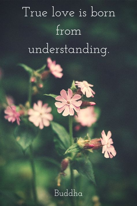 Love is understanding.  Click on this pic for more love quotes! and if you need a ceremony officiant call me at (310) 882-5039 Love Understanding Quotes, Short Hair For Kids, How To Look Attractive, The Garden Of Words, Understanding Quotes, True Love Is, A Course In Miracles, Buddhist Quotes, Buddha Quote