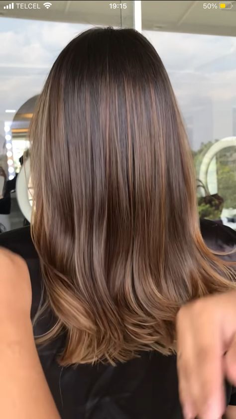 Saddle Balayage, Balayage Brunettes Straight Hair, Balayage Straight Hair Black, Beige Gold Highlights, Babylights With Balayage, Shoulder Length Medium Brown Hair, Gold Brown Hair With Highlights, Honey Brown Balayage Straight Hair, Caramel Balayage For Dark Brown Hair