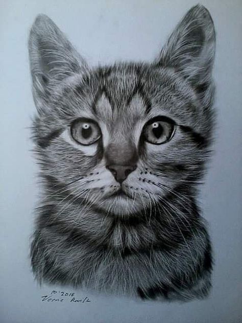 Cat Face Drawing, Wrist Tattoo Ideas, Wrist Tattoo Designs, Cats Art Drawing, Cartoon Drawings Disney, Pencil Drawings Of Animals, Charcoal Powder, Pencil Sketch Images, Cat Sketch