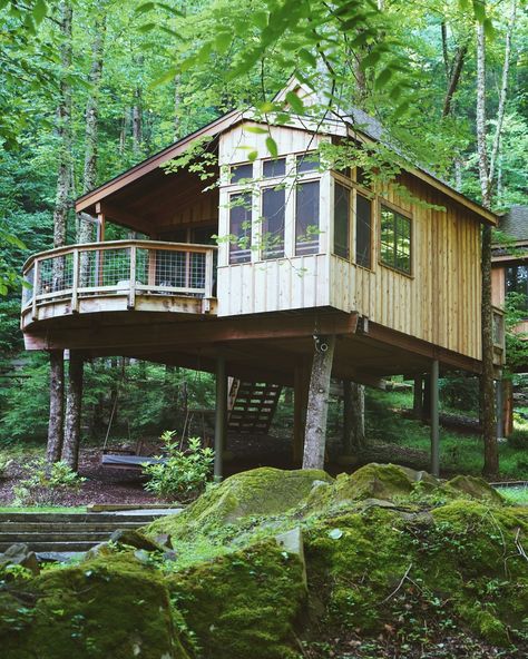 🌳 Exploring @treehouse_grove feels like stepping into a storybook dream. Nestled in the Smoky Mountains, these treehouses blend cozy charm with modern luxury—perfect for relaxing and reconnecting with nature. 🌲✨ From serene creek views to unique treehouse designs, this place has something magical for everyone (even the little adventurers). Planning your own treetop escape? Use code TREELOVER15 for 15% off your stay—valid for both online and call-in bookings. 🏞️ Don’t wait to experience this... Treehouse Village, Normal House, Tree House Designs, Whimsical Garden, Tree Houses, Smoky Mountains, Grown Up, Tree House, Modern Luxury