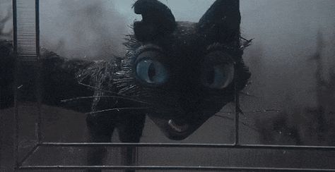 Tap the image to animate the gif. Coraline Cat, Laika Studios, Coraline Art, Coraline Movie, Coraline Aesthetic, Tim Burton Characters, Coraline Jones, Tim Burton Films, Tim Burton Movie