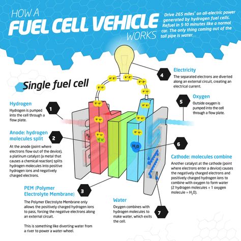 How a Hydrogen Fuel Cell Works Fuel Cell Technology, Hydrogen Energy, Hydrogen Car, Hydrogen Generator, Yoga Information, Free Energy Projects, Renewable Energy Systems, Hydrogen Fuel Cell, Hydrogen Fuel