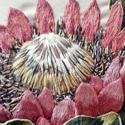 Protea Embroidery, King Protea Drawing, Pincushion Protea, Queen Protea, King Protea Illustration, Van Niekerk, Hand Embroidery Projects, Embroidery Projects, Embroidery Art