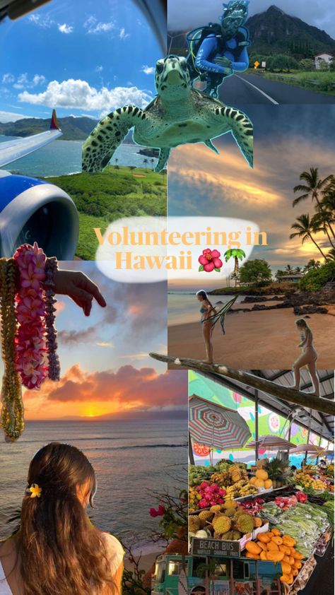 Dream Life, Hawaii, Collage