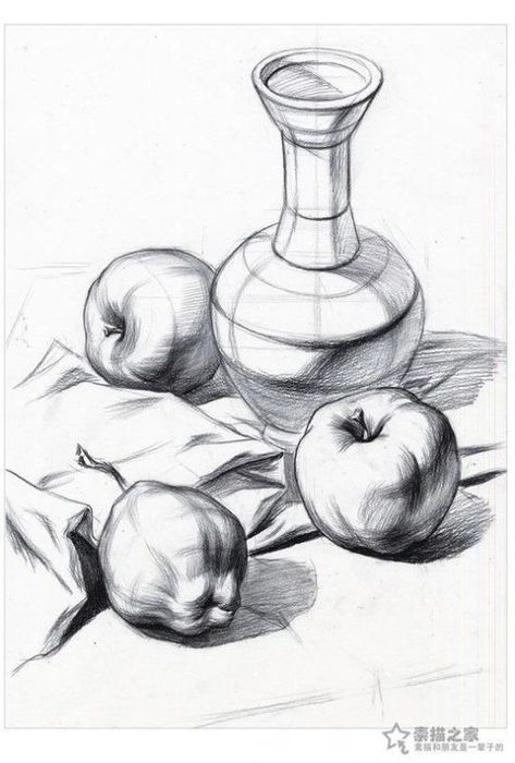 Still Life Sketch, Life Sketch, Object Drawing, Basic Drawing, Still Life Drawing, 수채화 그림, Pencil Art Drawings, Still Life Art, Life Drawing