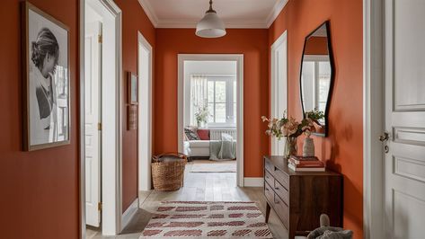 30 Best Hallway Color Schemes and Paint Ideas for Your Home Paint Hallway, Hallway Colour Schemes, Orange Hallway, Hallway Colours, Best Color Schemes, Orange Paint, Orange Walls, Pumpkin Colors, Perfect Palette