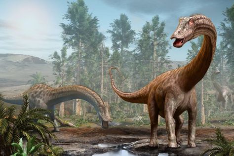 A team of researchers from the University of Bristol has recently reconstructed the limb musculature of Thecodontosaurus antiquus, a wolf-sized Triassic-period dinosaur considered to be an early ancestor of the iconic long-necked, quadruped Diplodocus, and found that this magnificent creature ran on its two back legs and used its shorter forelimbs to grasp food. #thecodontosaurus #dinosaurs #Dinosaurdiscoveries #thecodontosaurusantiquus #universityofbristol #diplodocus Triassic Period, Cool Dinosaurs, Bedroom Frames, Dinosaur Images, Ancient Animals, Paleo Art, Extinct Animals, Dinosaur Fossils, Things Under A Microscope