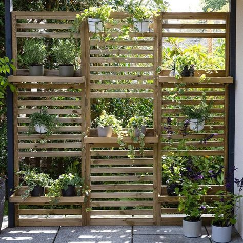 Garden Wall Planters, Living Plant Wall, Slatted Wall, Slatted Fence Panels, Garden Wall Planter, Trellis Fence, Hedging Plants, Wall Planters, Garden Screening