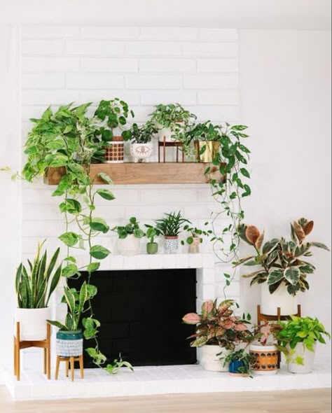 Plant Stands By Fireplace, White Walls With Fireplace, Plant Mantle Decor, Plants Over Fireplace, Fireplace With Plants Decor, Bohemian Fireplace Mantle, Mantle Decor With Plants, Plants Near Fireplace, Fireplace Mantle Plants