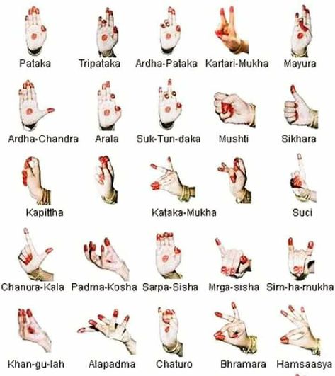 Kathak Dance Costume, Kathak Costume, Bharatanatyam Dancer, Indian Classical Dancer, Dancing Poses, Bharatanatyam Poses, Kathak Dance, Dance Of India, Plant Styling