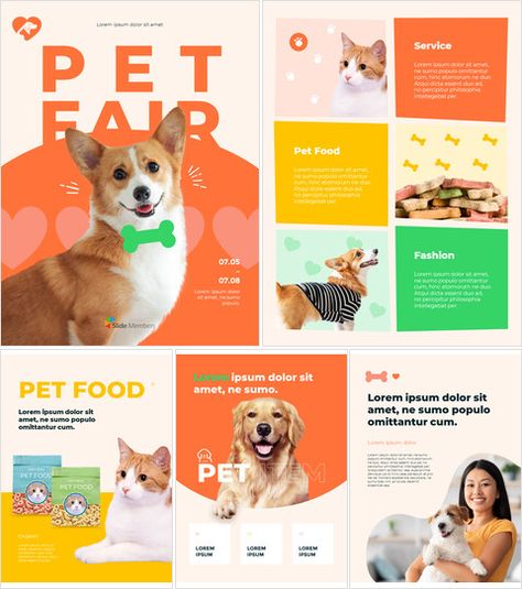 Pet Fair_Letter_MS Powerpoint Animal Shelter Social Media, Animal Branding, Team Introduction, Grain Background, Dog Marketing, Pet Branding, Pitch Presentation, Dog Magazine, Disney Frozen Elsa Art