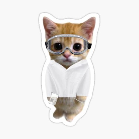 Cute Science Stickers, Gatos Stickers, Cat Science, Stickers Science, Science Cat, Dibujos Anime Chibi, Medical Stickers, Science Design, Science Icons