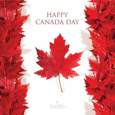 Happy Canada Day Image, Canada Day Pictures, Canada Day Images, Canada Toronto City, 1954 Birthday, Canada Eh, Toronto City, Happy Canada Day, Canada Toronto