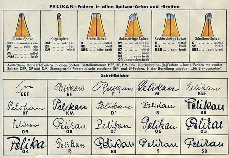 Early chart of available Pelikan nib sizes Pen Photography, Pelikan Fountain Pen, Best Fountain Pen, Dog Pens, Fountain Pens Calligraphy, Dog Pen, Vintage Pens, Fountain Pen Nibs, Calligraphy Nibs