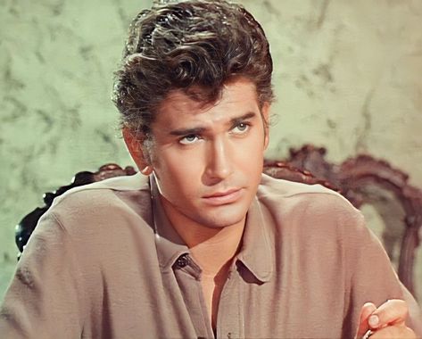 Joe Cartwright Little Joe Cartwright, Joe Francis, Lorne Greene, Bonanza Tv Show, Pernell Roberts, Michael Landon, Old Tv Shows, Old Tv, Television Show