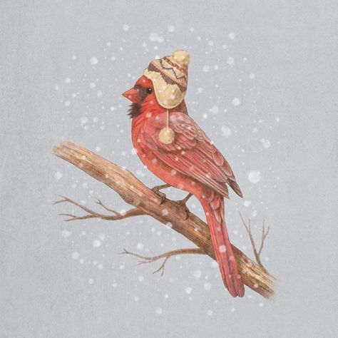 First Snow  by Terry  Fan Snow Art, Cardinal Bird, Wallpaper Accent, Cardinal Birds, Red Bird, Popular Art, First Snow, Popular Wallpaper, Passionate People